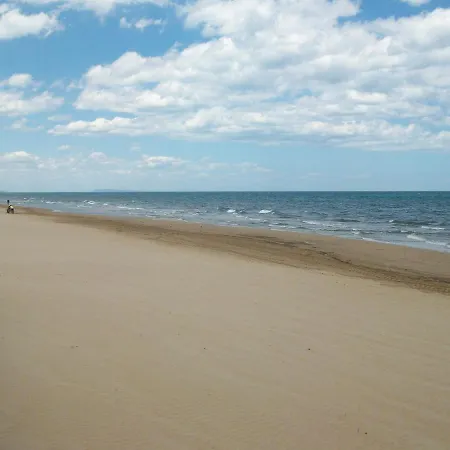 Roderic - Junto Al Mar