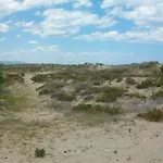 Roderic - Junto Al Mar Apartmán Oliva
